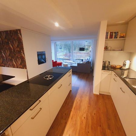 Neue Wohnung An Stadtrand Mit Parkplatz Ebikon Dış mekan fotoğraf